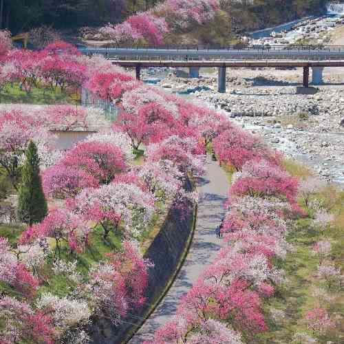 میثم حسینی تو تو دنیامی دلیل خنده هامی من رو تو حساسم عزیزم